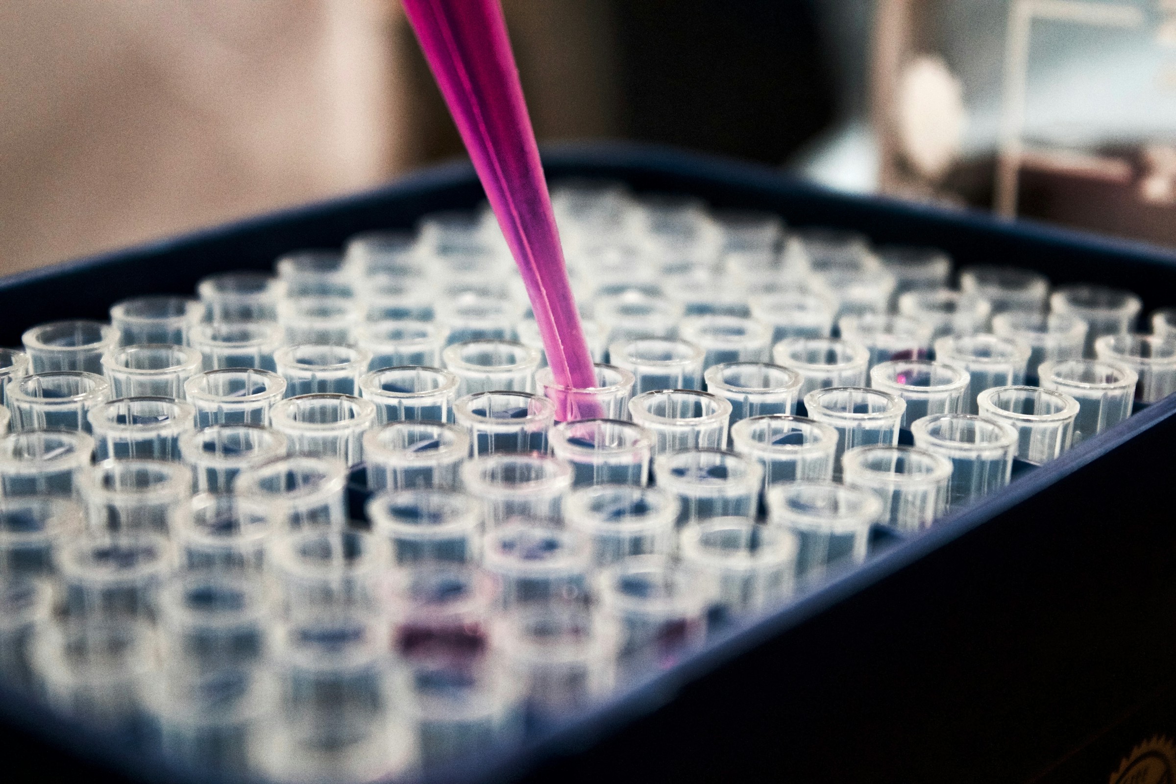 A pipette dispensing liquid into a laboratory well plate